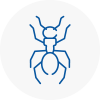 Ant Removals In Kingswinford