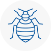 Bed Bug Extermination In Kingswinford