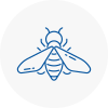 Bee Nest Removal Kingswinford