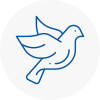 Bird Prevention Kingswinford
