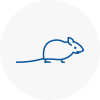 Mice Exterminators In Kingswinford