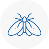 Moth Control Specialists In Kingswinford