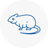 Rat Control Kingswinford