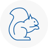 Kingswinford Rodent Removals